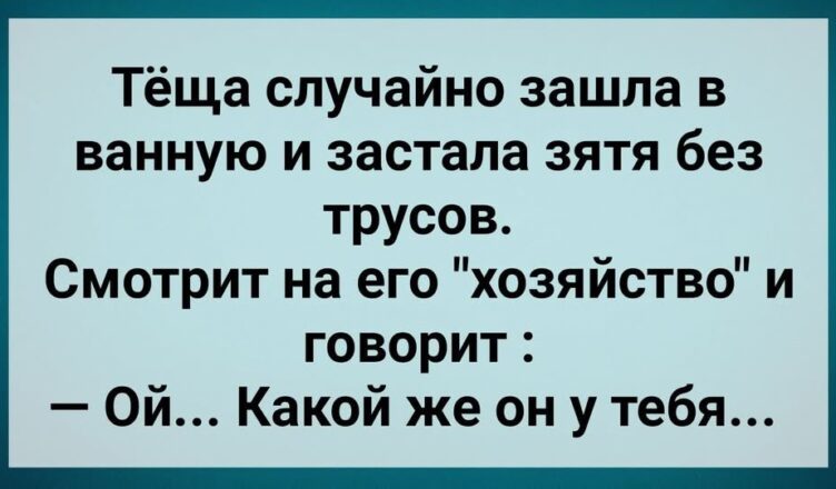 The mother -in -law has fallen away from the son -in -law without a TYSLC! Collected by fresh anecd! Humor! The mother -in -law has fallen away from the son -in -law without a TYSLC! Collected by fresh anecd! Humor!